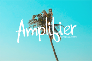 Amplifier: A Script Handwritten Font for Editorial Design