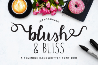 Blush Bliss: A Script Handwritten Font for Creative Campaigns