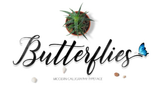 Butterflies Script: A Fresh Modern Script Handwritten Font for Brand Identity