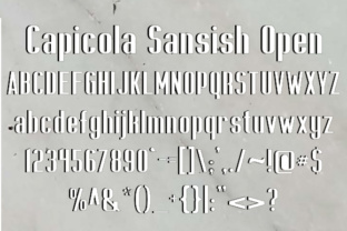 Capicola Sansish Open for Bold Branding and Eye-Catching Design