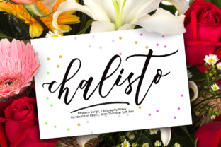 Chalisto: The Font That Elevates Your Campaigns