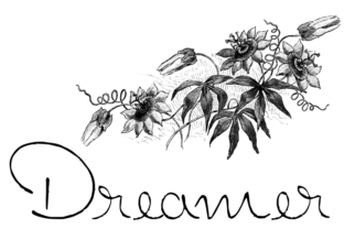 Dreamer: A Youthful Script Font for Editorial Warmth