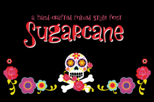 Sugarcane: A Whimsical Script Font for Youthful Branding